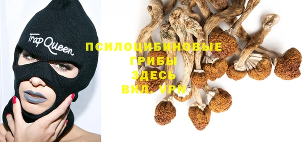 сатива Абдулино