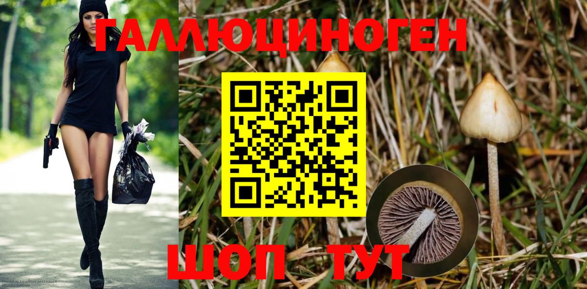 Галлюциногенные грибы GOLDEN TEACHER Красноперекопск