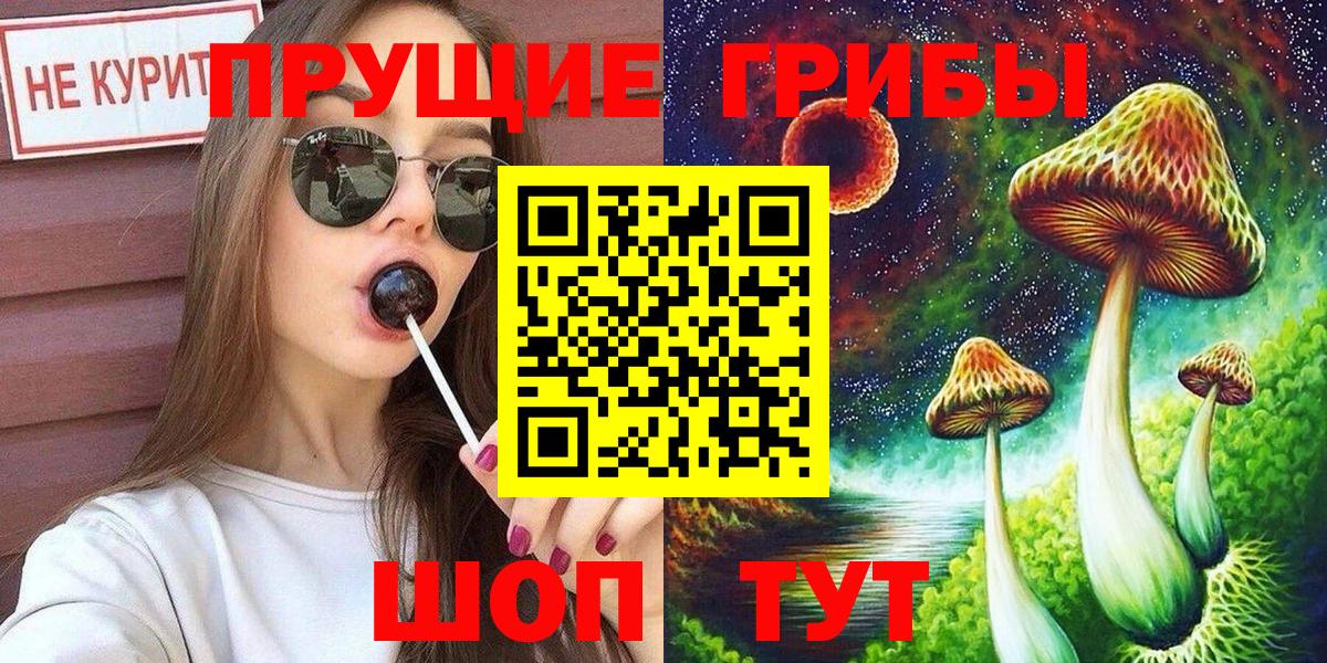 Красноперекопск  Псилоцибиновые грибы Psilocybine cubensis  Вход с VPN 
